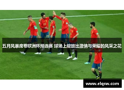 五月风暴席卷欧洲杯预选赛 球场上绽放出激情与荣耀的风采之花